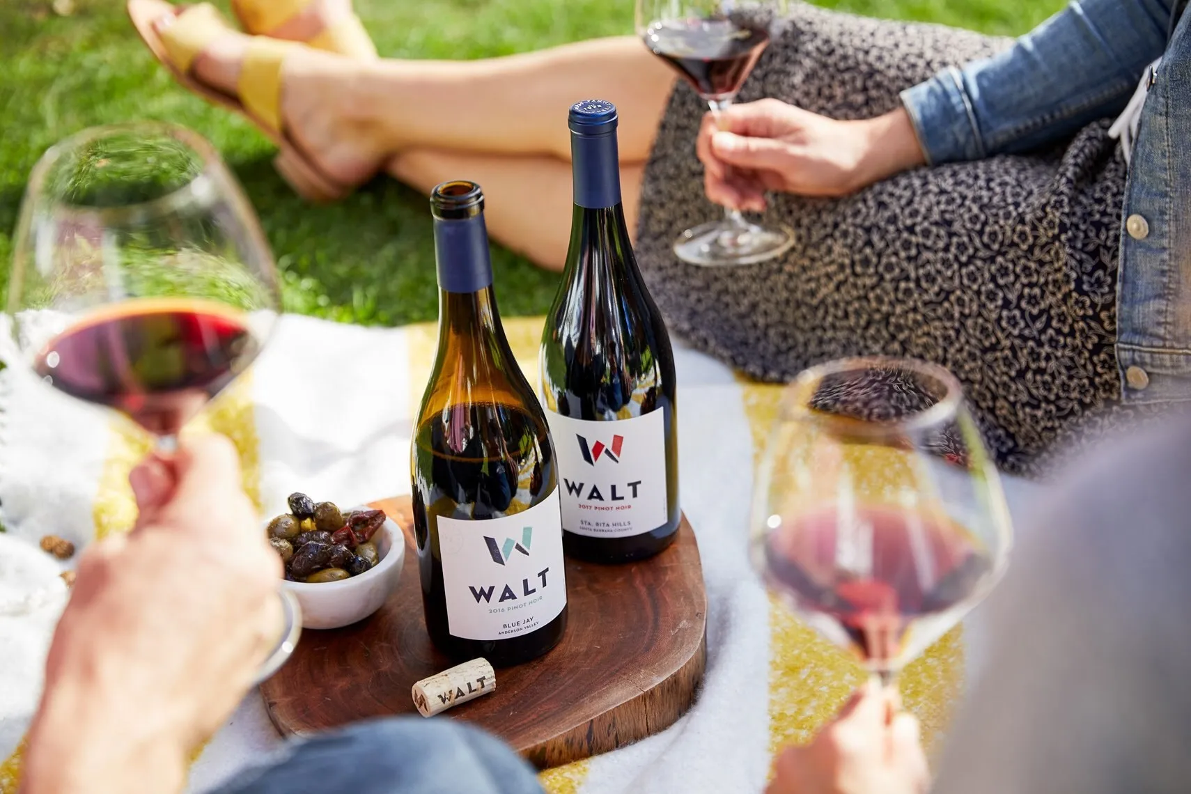 Two bottles of WALT Pinot Noir on a picnic blanket, glasses raised around them